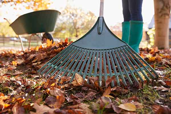 Fraser Valley Landscaping Raking Services